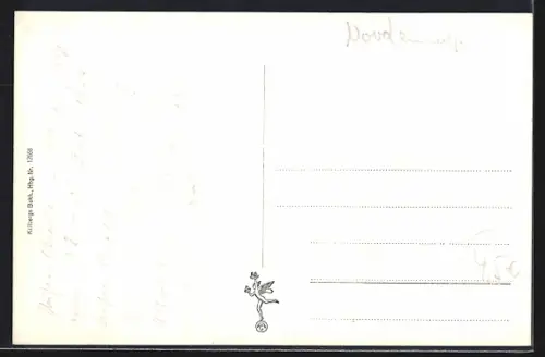 AK Hälsingborg, Utsikt fran Kärnan