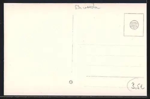 AK Bengtsfors, Utsikt fran Majberget