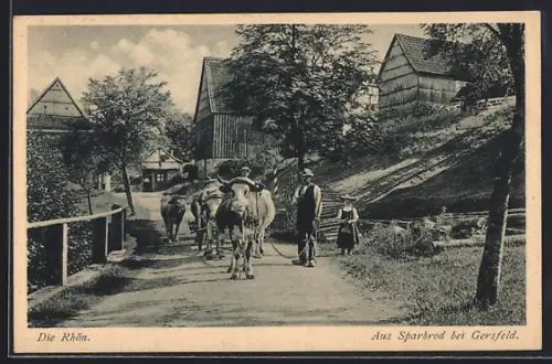 AK Sparbrod, Dorfpartie mit Ochsengespann