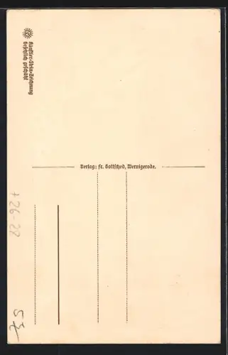 Steindruck-AK Wernigerode, Markt mit Rathaus