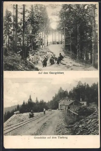 AK Tierberg, Auf dem Georgsfelsen mit Wanderern, Grosshütte auf dem Tierberg