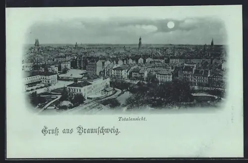 Mondschein-AK Braunschweig, Totalansicht im Vollmondlicht