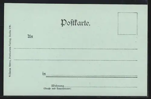 Mondschein-AK Braunschweig, Totalansicht im Vollmondlicht