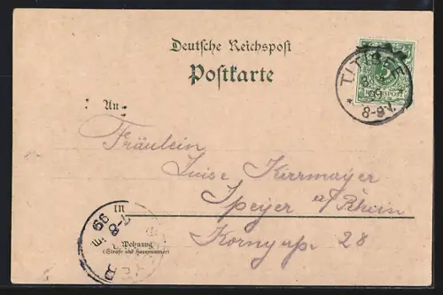 AK Titisee /Bad Schwarzwald, Hotel Titisee, Inh. A. Faller