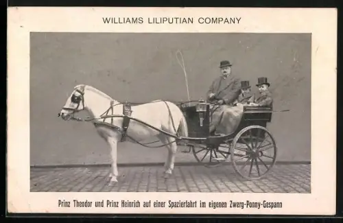 AK Williams Liliputian Company, Pinz Theodor und Prinz Heinrich auf einer Spazierfahrt im eigenen Zwerg-Pony-Gespann
