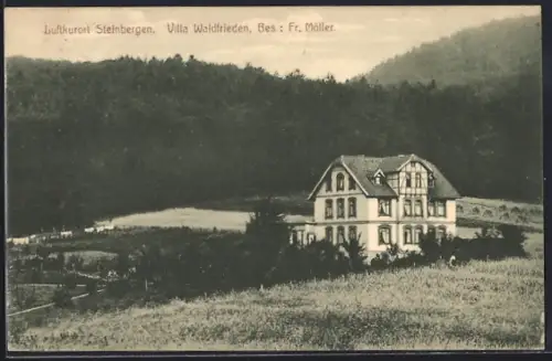 AK Steinbergen, Pension Villa Waldfrieden von Fr. Möller