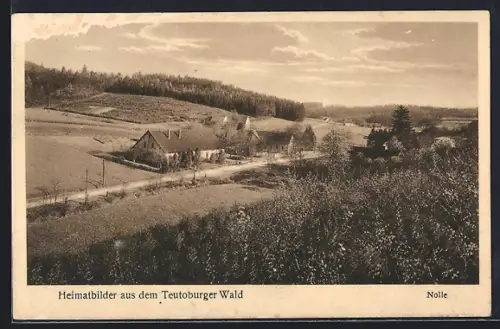 AK Nolle /Teutoburger Wald, Ortspartie mit Strasse