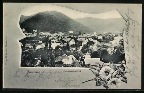 AK Bad Harzburg, Gesamtansicht