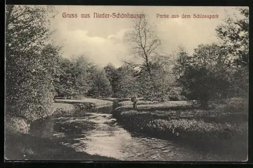 AK Berlin-Niederschönhausen, Nieder-Schönhausen, Partie aus dem Schlosspark