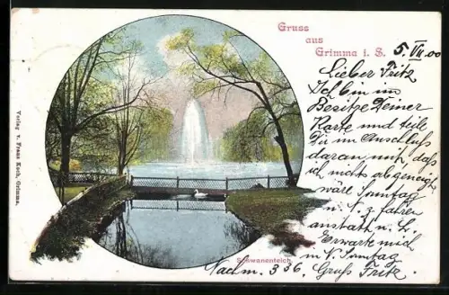AK Grimma i. S., Schwanenteich im Park