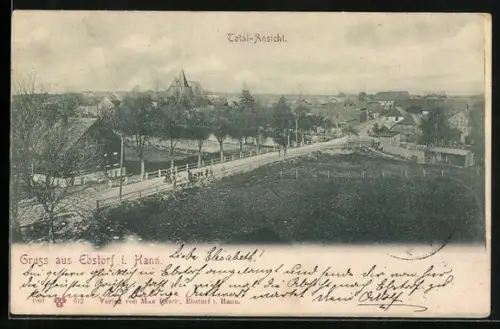 AK Ebstorf i. Hann., Ortspanorama