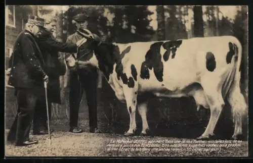 AK Marechal Joffre admirant dans une de nos fermes modeles