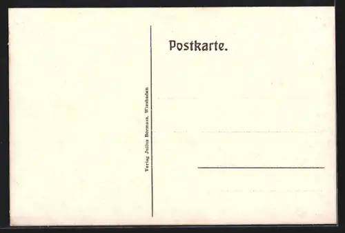 AK Wiesbaden, Totalansicht vom Neroberg