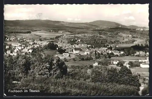 AK Fischbach im Taunus, Ortsansicht, Landschaft