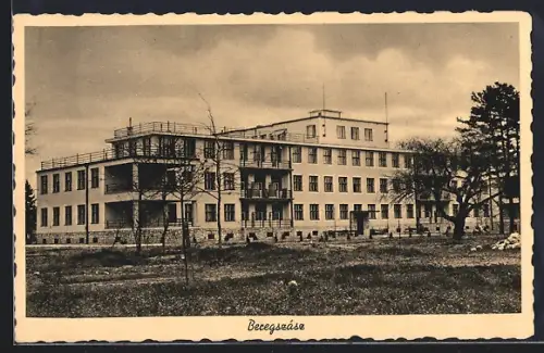 AK Beregszasz, Schönberger Lajos