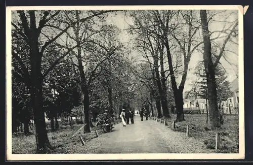 AK Velka Berezna, Masarykuv park