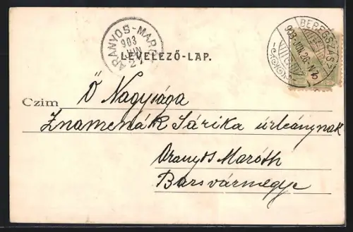AK Munkacs, Munkacsi var belseje a Szabadsag faval