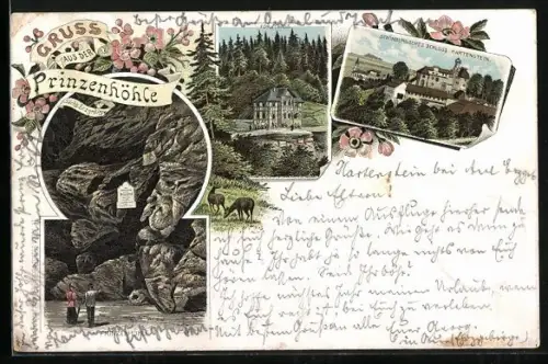 Lithographie Hartenstein / Sachsen, Prinzenhöhle, Forsthaus, Schönburgisches Schloss