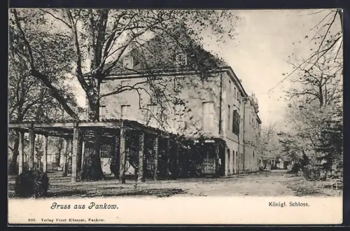 AK Berlin-Pankow, Königliches Schloss Niederschönhausen