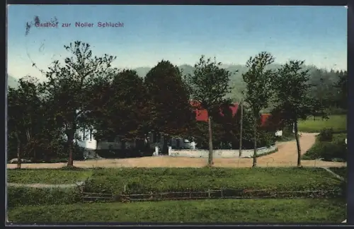AK Dissen / Teutoburger Wald, Gasthof zur Noller Schlucht