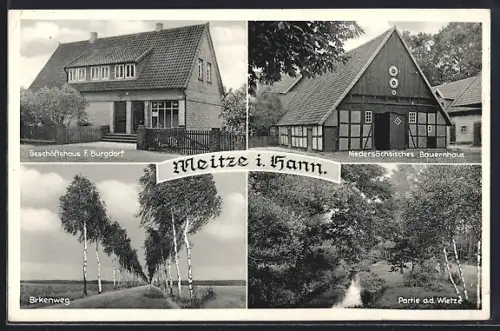 AK Meitze i. Hann., Geschäftshaus F. Burgdorf, Birkenweg, niedersächsisches Bauernhaus