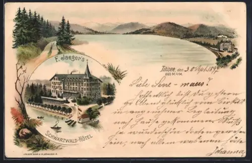 Lithographie Titisee, F. Jaeger`s Schwarzwald-Hotel am Titisee
