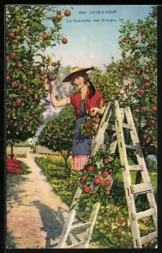 AK Junge Frau erntet Orangen