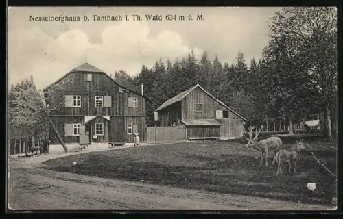 AK Tambach / Thüringen, Gasthof Nesselberghaus