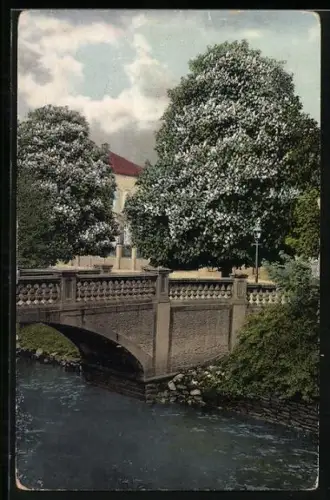 AK Oldenburg / O., Kastanienblüte am Fluss