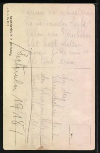 AK Oldenburg / O., Kastanienblüte am Fluss