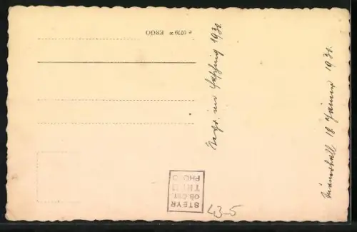 AK Steyr, Fasching 1930, Damengruppe mit Spitzhüten