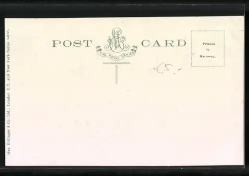 AK Coldstream Guards marching to Petersfield manoeuvres