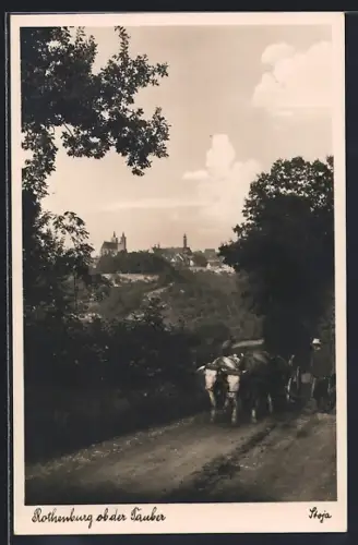 AK Rothenburg ob der Tauber, Ochsengespann mit Ortsansicht
