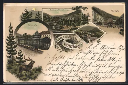 Lithographie Wildbad / Schwarzwald, Trinkhalle, Kurplatz, Gasthaus zum kühlen Brunnen