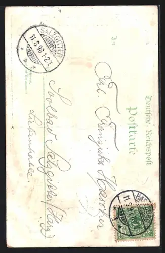 AK Braunlage, Achtermannshöhe, Waldlandschaft