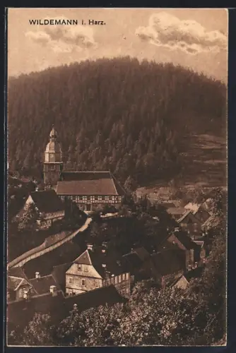 AK Wildemann i. Harz, Ortsansicht mit Kirche und Fachwerkhäusern