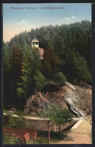 AK Braunlage /Oberharz, Steinklippenpavillon