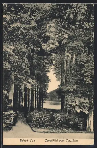 AK Sielbeck / Kellersee, Uklei-See, Durchblick vom Forsthaus