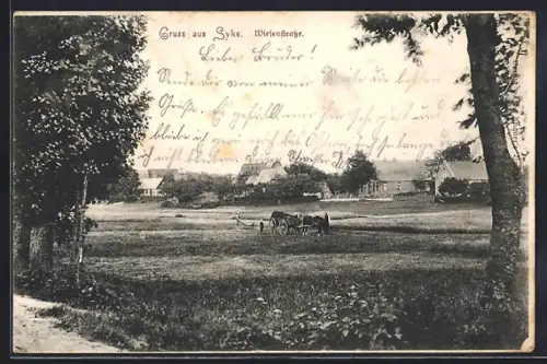 AK Syke, Wiesenstrasse, Panorama mit Feldern u. Bauer