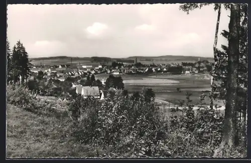AK Münchberg /Ofr., Gesamtansicht aus der Vogelschau