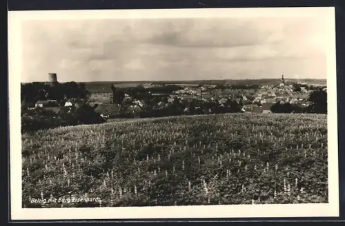 AK Belzig, Ortsansicht mit Burg Eisenhardt
