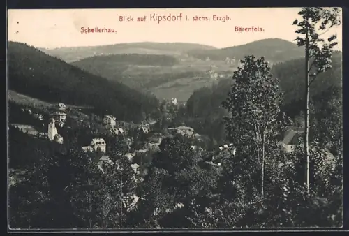 AK Kipsdorf /Erzgebirge, Totalansicht mit Schellerhau u. Bärenfels