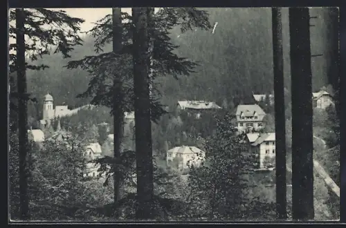 AK Kipsdorf i. sächs. Erzgeb., Blick auf den Ort