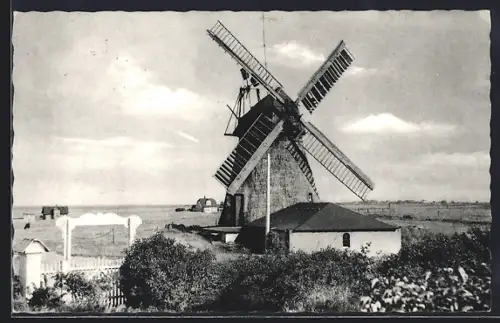 AK Amrum, Alte Windmühle mit Heimatlosen-Friedhof