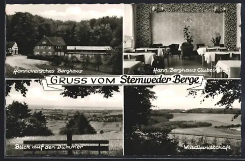 AK Lemförde, Stemweder Berg, Gaststätte Hannoversches Berghaus R. Hagen, Clubzimmer, Blick auf den Dümmer