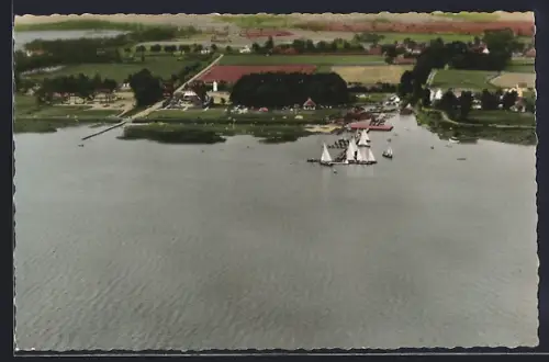 AK Dümmer See, Luftaufnahme, Segelboote, Uferanlagen