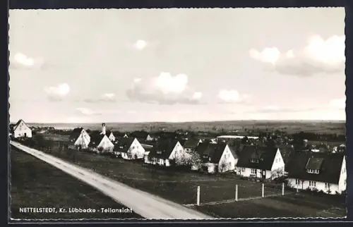 AK Nettelstedt /Lübbecke, Teilansicht