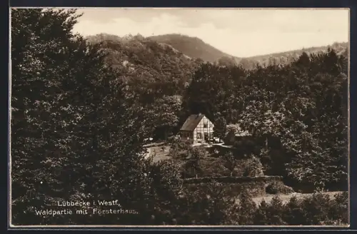 AK Lübbecke i. Westf., Waldpartie mit Försterhaus