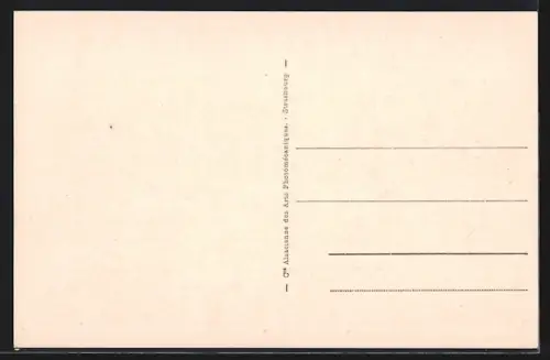 AK Camaret, Les Quais