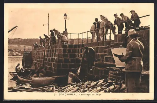 AK Concarneau, Arrivage du Thon